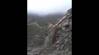 А что, так можно было? 😳 что творят дагестанские чабаны 🤦🏽‍♂️