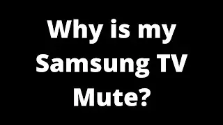 Why is my Samsung TV mute?