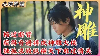 神雕P12：杨过断臂奇遇要成神雕大侠，独孤求败纵横天下难过情关 #影视解说 #武侠