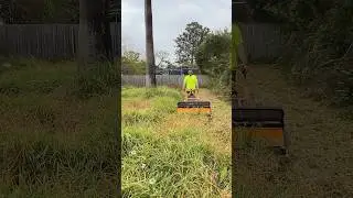 The only RIGHT way to clean up an overgrown yard. #satisfying