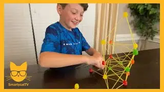 Gum Drop Engineering | Easy Science Projects for Kids | Easy Science Experiments To Do At Home