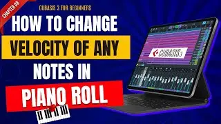 How to Change Velocity of any Notes in Piano Roll | Cubasis 3 for Beginners || Part 8