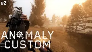 ФПС СТАЛО БОЛЬШЕ | ANOMALY CUSTOM #2