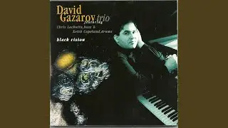 Black Vision
