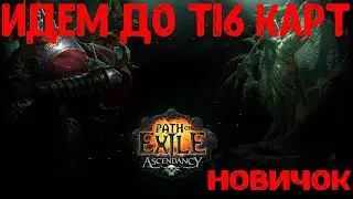 POISON SEISMIC TRAP в PATH OF EXILE / СТРИМ ПО ИГРЕ POE,ЛИГА ПОЕ 3.20