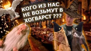 Проходим тест на факультет для Hogwarts Legacy. Как получить БЕСПЛАТНЫЕ дополнительные награды