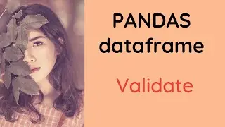 QUALITY CHECK your PANDAS dataframe - missing values, inconsistencies, correlation, text analysis.