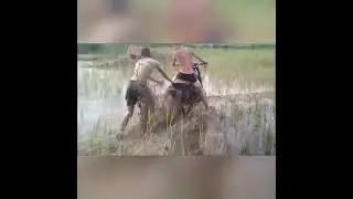 ГРЯЗЕВЫЕ ВАННЫ // МОТОЦИКЛ ДНЕПР // 