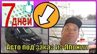 За неделю из Японии в Россию Honda Stepwgn 2019 RP4 Spada Cool Spirit полный привод