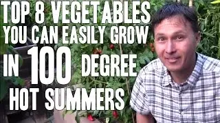 Top 8 Vegetables You Can Easily Grow in 100+ Degree Hot Summers