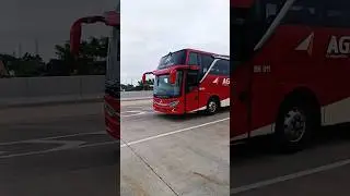 Bus AGRA MAS #busholic #busindonesia #publictransport #busmaniacomunity #bus 011