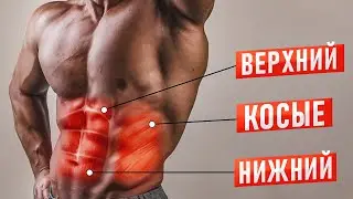 ПРЕСС за 8 МИНУТ! Как накачать пресс и УБРАТЬ ЖИВОТ в домашних условиях?