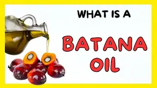 What Is Batana Oil
