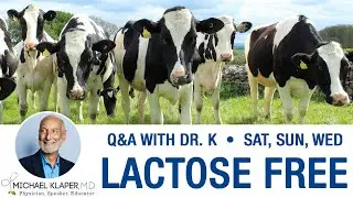 Dairy-Free vs Lactose-Free - Whats The Difference?