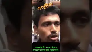 লুটপাটকারী