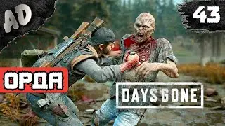 ОГРОМНАЯ ОРДА! Прохождение Days Gone Жизнь После на Русском #43