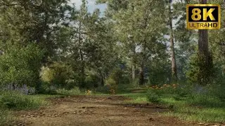 [8K] Blender Forest Scene Animation | Dibster