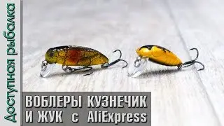 ВОБЛЕРЫ НАСЕКОМЫЕ 🐞 На Голавля и Форель с АлиЭкспресс | Жук и Кузнечик от NOEBY | Игра под водой