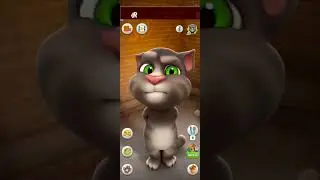 Talking Tom Cat #shorts