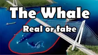 The Whale Photo Manipulation l GIMP tutorial l