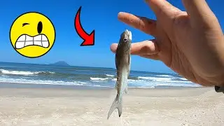 The fish's poison almost ended the fishing - Beach Fishing Tips