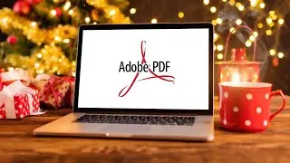 How to Download and Install Adobe Acrobat Reader in 2022