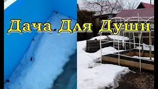 БАССЕЙН и ОГУРЕЧНИК после зимы...что с ними стало?