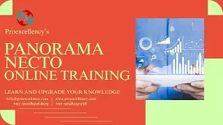 Panorama Necto Online Training: Your Gateway to $100K+ BI Careers!