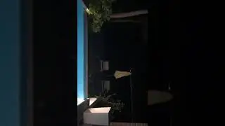 Виктория Боня возле бассейна