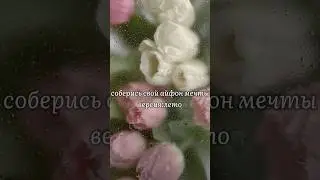 собери айфон мечты версия:лето #tiktok #shorts #выбирашки #выберашки