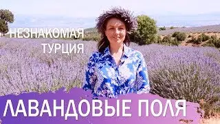 Незнакомая Турция. Лавандовые поля