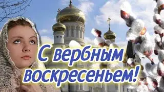 С Вербным воскресеньем. Вербное воскресенье.