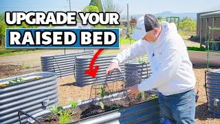 How to Upgrade your Raised Bed Garden