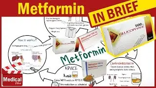 Metformin 500 mg ( Glucophage ): Uses, Dosage, Side Effects, Contraindications and Some Advice!