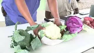 Ministry of Agriculture holds National Vegetable Stakeholder Meeting | PT 2