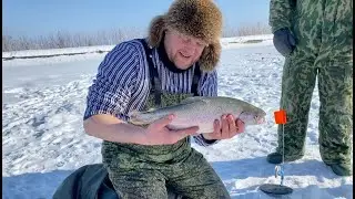 ЛОВЛЯ ФОРЕЛИ НА ЖЕРЛИЦЫ. Рецепт форели на гриле. Зимняя рыбалка 2021. Блюдо в казане.