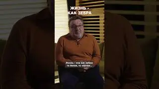 Жизнь - как зебра.