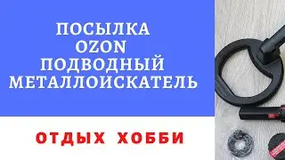 Nokta & Makro PulseDive Scuba Detector & Pointer подводный металлоискатель Посылка с Ozon  2020