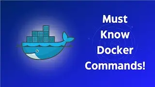 The Essential Docker Commands You Need to Know