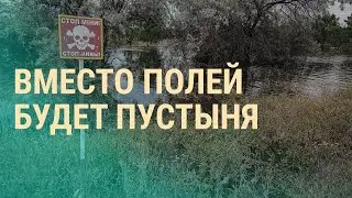 Долгосрочные последствия разрушения ГЭС. Обстрел во время эвакуации. Ядовитый Мистер сидр | ВЕЧЕР