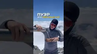 Пуэр - это фейковый чай😱😳. 