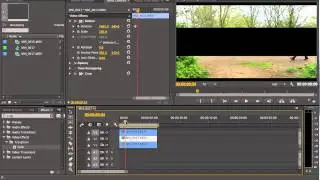 Adobe Premiere Pro CC - Stylise your footage with Crop and Motion