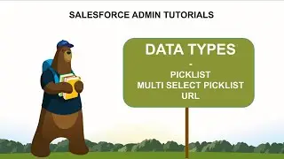 Data Types in Salesforce | Fields in Salesforce Admin Data Type | Picklist, URL