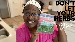 Don’t FORGET to Harvest| Losing my herbs| Learning how to grow herbs SUCCESSFULLY|Zone 8a Gardening