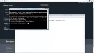 How to use MongoDB with Node.js