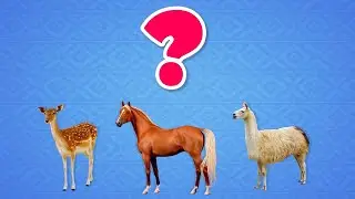 Learn the sounds of animals. Guess the animals by voice. Cow sounds, horse sounds, frog sounds