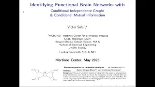 Victor Solo, PhD: Identifying Functional Brain Networks with Conditional Independence Graphs