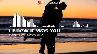 Tungevaag x Lovespeake - I Knew It Was You