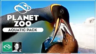 ▶ Planet Zoo Aquatic Pack & Free Update 1.4 | Overview | Review | DLC |