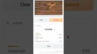 GUI / web app for your machine learning models using Gradio 